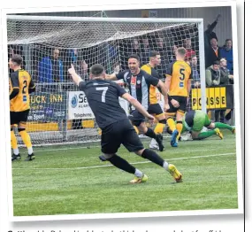  ?? ?? Gutting Jake Dolzanski celebrates but his header was ruled out for offside