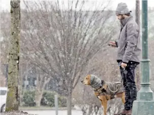  ?? STAFF PHOTO BY C.B. SCHMELTER ?? As snow falls Tuesday, Andrew Walker checks his phone while waiting with his dog, Hughes, in Coolidge Park. Walker said he was just going about his morning routine.
