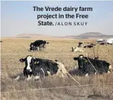  ?? /ALON SKUY ?? The Vrede dairy farm project in the Free State.