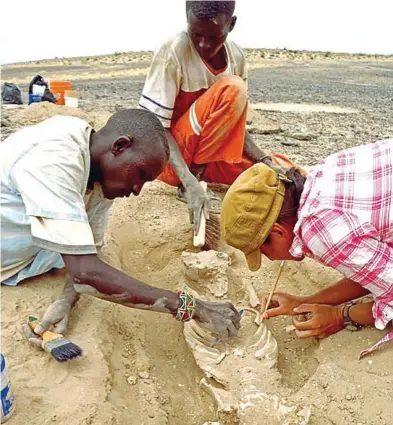  ??  ?? La ricercatri­ce Frances Rivera, a destra, con Michael Emsugut, a sinistra, e Tot Ekulukum, al centro, durante lo scavo coordinato dall’antropolog­a Marta Mirazon Lahr nel sito di Nataruk, nei pressi del lago Turkana, in Kenya. Con questo scheletro ne...