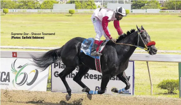 RACING NEWS FOR SATURDAY, NOVEMBER 19, 2022 - PressReader