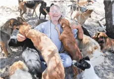  ?? PICTURE: HENK KRUGER ?? DOGGY AFFAIR: Koinonia, founded by Andre Verbiest, rehabilita­tes and rescues animals.
