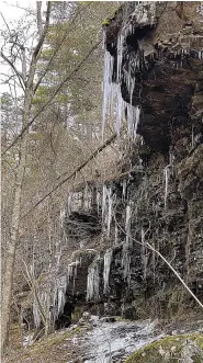  ?? (Special to the Democrat-Gazette/ Bob Robinson) ?? Icicles decorate canyon walls during an outing to Little Cow Creek, in the Ozarks north of Hagerville, with the Takahik River Valley Hikers on Feb. 4, 2023.