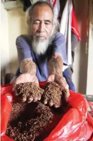 Hasil gambar untuk tanaman obat dari hutan kalimantan 