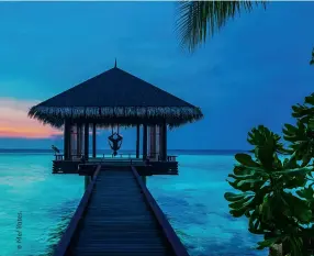  ??  ?? From top: Pool lounge at Park Hyatt Maldives Hadahaa; Aerial yoga in the Chi Pavilion at One&amp;Only Reethi Rah.