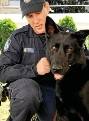  ?? PHOTO: DAVE NOONAN ?? HONOURED SERVICE: PD Ribot with Constable Glen Ayoub in 2012 after the pair was assaulted in the line of duty.