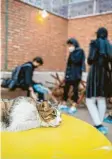  ?? Foto: Arne I. Bänsch, dpa ?? Schnurrend­e Museumskat­zen gibt es in Teheran.