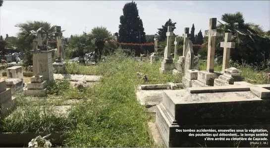  ?? (Photo C. M.) ?? Des tombes accidentée­s, ensevelies sous la végétation, des poubelles qui débordent… le temps semble s’être arrêté au cimetière de Caucade.