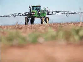  ??  ?? Problemáti­ca. A la izquierda, el “pasto amargo” en plena floración, en una soja en Iriondo, sur de Santa Fe. Arriba, la pulverizad­ora. Con el “doble golpe” de
herbicidas, en el barbecho, se puede hacer un control eficaz de esta especie.