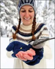  ?? (AP/University of Nevada, Reno/Jennifer Kent) ?? University of Nevada, Reno student Michelle Werdann feeds a wild mountain chickadee pine nuts Jan. 6 at Chickadee Ridge.