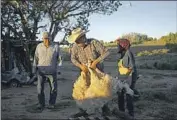  ?? John Locher Associated Press ?? JAY BEGAYE JR. carries a sheep to slaughter under the watch of his father, Jay, left, and mother, Helen.