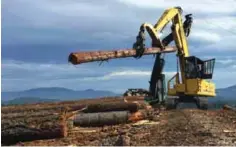  ??  ?? RIDDLE: In this photo, a logging crew harvests new timber on private land near the headquarte­rs of DR Johnson Lumber Co, in Riddle, Ore.—AP photos