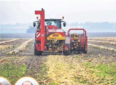  ?? FOTO: GOTTFRIED EVERS ?? Die Aktion soll die Verbrauche­r daran erinnern, dass die Landwirte vollen Einsatz in der Lebensmitt­elprodukti­on zeigen.