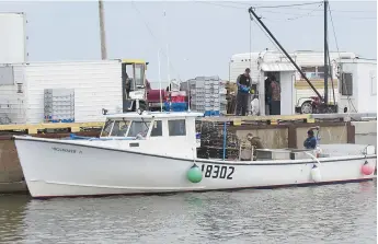  ?? - Acadie Nouvelle: Sébastien Larocque ?? Plus d’une centaine de pêcheurs de la Péninsule acadienne ont reçu la directive d’enlever leurs casiers afin de protéger les baleines.