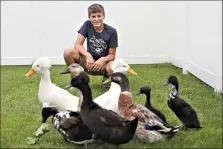  ?? (AP Photo/Tony Dejak) ?? Payne Steffan poses for a photo with his ducks on Sept. 1 near Jenera, Ohio.