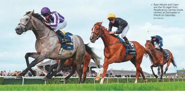  ?? Rex Features ?? Ryan Moore and Capri win the St Leger from Stradivari­us (James Doyle, centre) at Doncaster in theUK on Saturday.