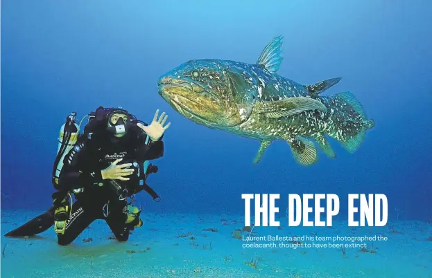  ??  ?? Laurent Ballesta meets a coelacanth in South African waters. Below: Gombessa, Antarctica, shows off its amazing underwater lighting in this 2015 photograph.