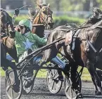  ?? PHOTO LE TROT ?? « Hussard du Landret », entraîné en Mayenne, sera drivé par le Normand Yoann Lebourgeoi­s.