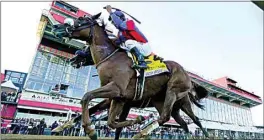  ?? STEVE HELBER / AP ?? Swiss Skydiver (4), with Robby Albarado aboard, wins the 145th Preakness Stakes horse race at Pimlico Race Course on Saturday in Baltimore.