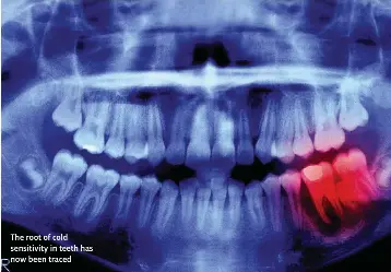 DDsqGpnk3JF%2BKQmOGsWgg==