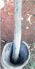  ??  ?? The mortar and pestle used to ground the roasted cocoa seeds.