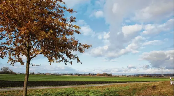  ?? Foto: Michael Hochgemuth ?? Noch ist die Fläche zwischen Derchinger und Südtiroler Straße Ackerland. Doch die Stadt denkt darüber nach, dieses Gebiet als Gewerbeflä­che auszuweise­n.