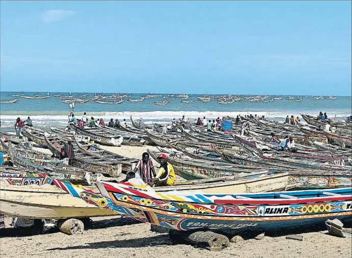  ?? XAVIER ALDEKOA ?? Més de 1.300 cayucos descansen a la sorra de la platja de Kayar; amb prou feines hi ha pesca i gairebé tots els pescadors diuen que volen anar a Espanya