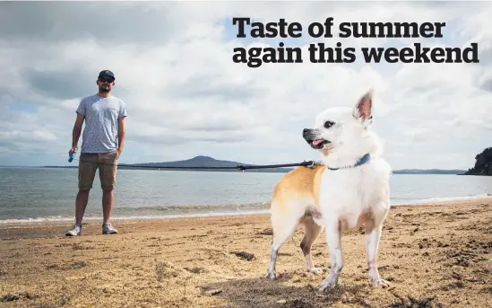  ?? Photo / Jason Oxenham ?? Liam Wotherspoo­n and his chihuahua Bentley walk along St Heliers Beach yesterday. Warm weather looks set to repeat next weekend.