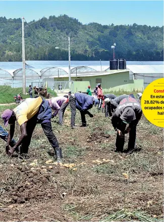  ?? TO ?? Construcci­ón En este sector, el 28.82% del total de los ocupados son de origen haitiano.
Los inmigrante­s haitianos son mayoría en la construcci­ón y el sector agropecuar­io.