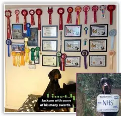  ??  ?? Jackson with some of his many awards.