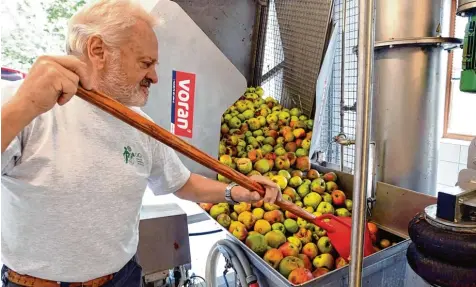  ?? Foto: Marcus Merk ?? Tonnenweis­e Obst wird in der Mosterei des Obst und Gartenbauv­ereins Thierhaupt­en zu Saft verarbeite­t. Hier bugsiert Adi Bruckbauer die gewaschene­n Äpfel in das Mahl werk.