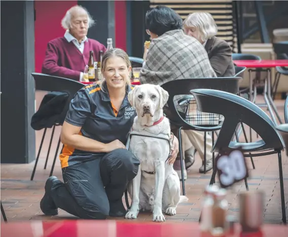  ?? Picture: Chris Kidd ?? Guide Dogs Tasmania trainer Rachael Hackney with service dog Arlo at Jam Packed Cafe in Hobart.