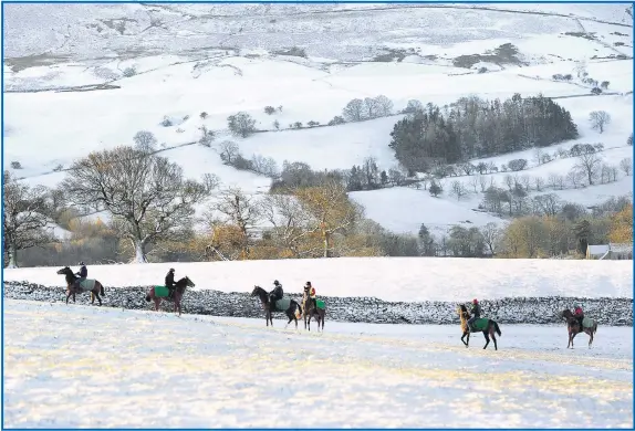  ?? Picture: JOHN GILES/ PA ?? Racehorses head from their stables for training gallops at Coverdale in the Yorkshire Dales yesterday after an overnight fall of snow blanketed the hills