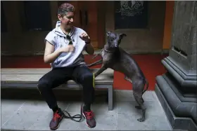  ?? MARCO UGARTE — THE ASSOCIATED PRESS ?? Nemiliz Gutierrez Arroyo sits next to his Xoloitzcui­ntle breed dog named Mezcal, during a press conference about the Xoloitzcui­ntle in art,Jan. 25in Mexico City.