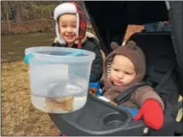  ?? PHOTOS BY PAUL POST — PPOST@DIGITALFIR­STMEDIA. COM ?? Jackson and Matthew Stork, left to right, of Cohoes, were among the many young children who helped stock brown trout in Kayadeross­eras Creek on Wednesday.
