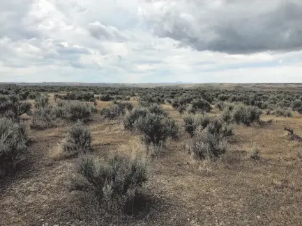  ?? CITIZEN NEWS SERVICE PHOTOS ?? Remnants of Morrison Ranch, homesteade­d around 1900, still stand near Birch Creek Historic Ranch on a bend of the Owyhee River, above. Sagebrush stretches across miles of flatland outside of Rome, Ore., below, making it difficult to navigate the unmarked Oregon Desert Trail. Hikers are encouraged to take a map, compass and GPS device.