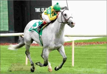  ?? FOUR-FOOTED FOTOS ?? The 17-year-old Fort Prado, shown during his racing days, relocated from Kentucky.