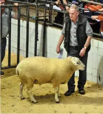  ??  ?? Sonny Jennings, Cahergal, Tuam, with his Belclare ram, Cahergal Curro, which sold for €820, the second highest price paid for a Belclare ram at the sale; (left) Ann Murphy, Belcarig, Gorey, with her Texel ram, Foundry Amadeus which sold for €780, the...