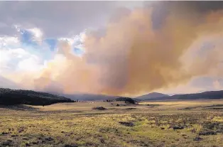  ?? PAT VASQUEZ-CUNNINGHAM/JOURNAL ?? The Thompson Ridge Fire works its way down a slope at the western edge of the Valle Grande in the Valles Caldera National Preserve in 2013.