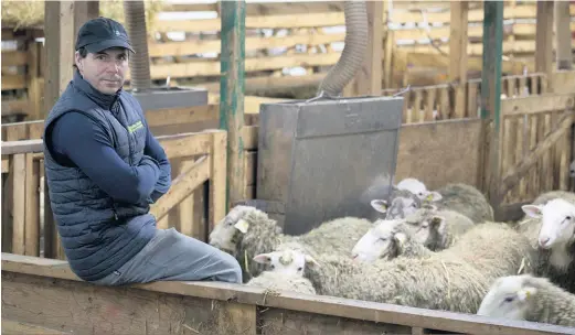  ?? ?? Alexandre Anctil et son groupe ont lancé la Reconquête ovine de l’Est-du-Québec. Ce mouvement, qui prendre la forme d’une table de concertati­on, a pour objectif d’augmenter la production ovine et le nombre de fermes dans leur région.