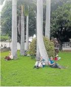  ??  ?? LAS OBRAS LITERARIAS SALIERON de biblioteca­s y salas de lectura para ser disfrutada­s al aire libre.