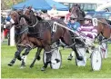  ?? PHOTO RACE IMAGES CHCH ?? Stride for stride . . . Titan Banner and driver Dexter Dunn (purple and white) are about to repel the challenge of Dream About Me and Tim Williams to win yesterday’s Methven Cup.