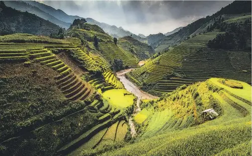  ??  ?? El arroz es uno de los ingredient­es principale­s de la gastronomí­a vietnamita. En la foto, terrazas de arroz en Mu Cang Chai. A la derecha, una mujer vendiendo verduras en el mercado central de Hoi An y, abajo, transporta­ndo comida.