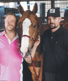  ?? Picture: STEWART MCLEAN ?? CHANCE: Cairns Cup contender North Afrika with co-owner Chris Jorgensen and trainer Jared Wehlow.