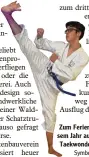  ?? Symbolfoto: Bernhard Weizenegge­r ?? Zum Ferienprog­ramm gehört in die sem Jahr auch ein Schnupperk­urs in Taekwondo.