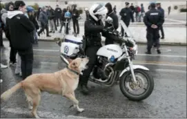  ?? DIMITRI MESSINIS — THE ASSOCIATED PRESS FILE ?? A stray dog, called by protesters Loukanikos (Sausage), barks to a motorcycli­st policeman as high school students block the avenue outside the Greek Parliament during an anti-austerity protest in Athens.