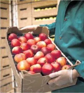  ?? SHUTTERSTO­CK ?? Osim jabuka, na euroazijsk­o tržište moglo bi se izvoziti konzervira­no voće i povrće, džemove, sokove i kompote