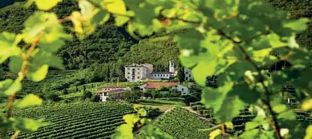  ?? Patrimonio Unesco ?? Le colline del Prosecco tra Valdobbiad­ene e Conegliano, l’area storica dove si produce il Prosecco Superiore Docg