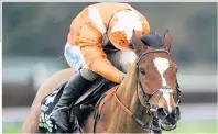  ??  ?? Harry Fry’s Metier wins the Tolworth Hurdle