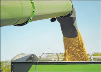  ?? Joshua A. Bickel The Associated Press file ?? Harvested corn grain is loaded into a grain wagon at an Illinois farm in October.